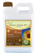 Ранголи-Реголон, ВР