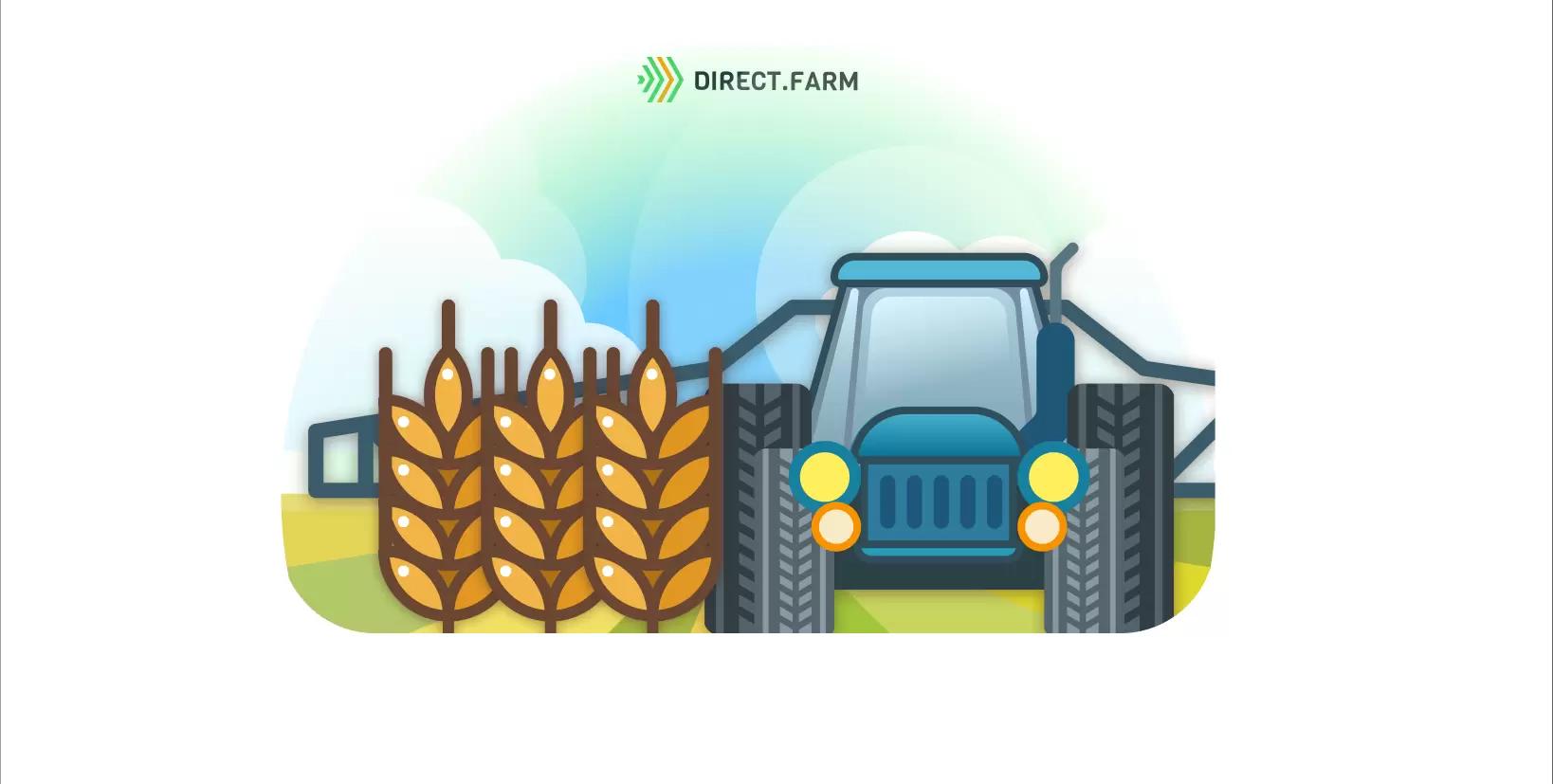 Десикация пшеницы