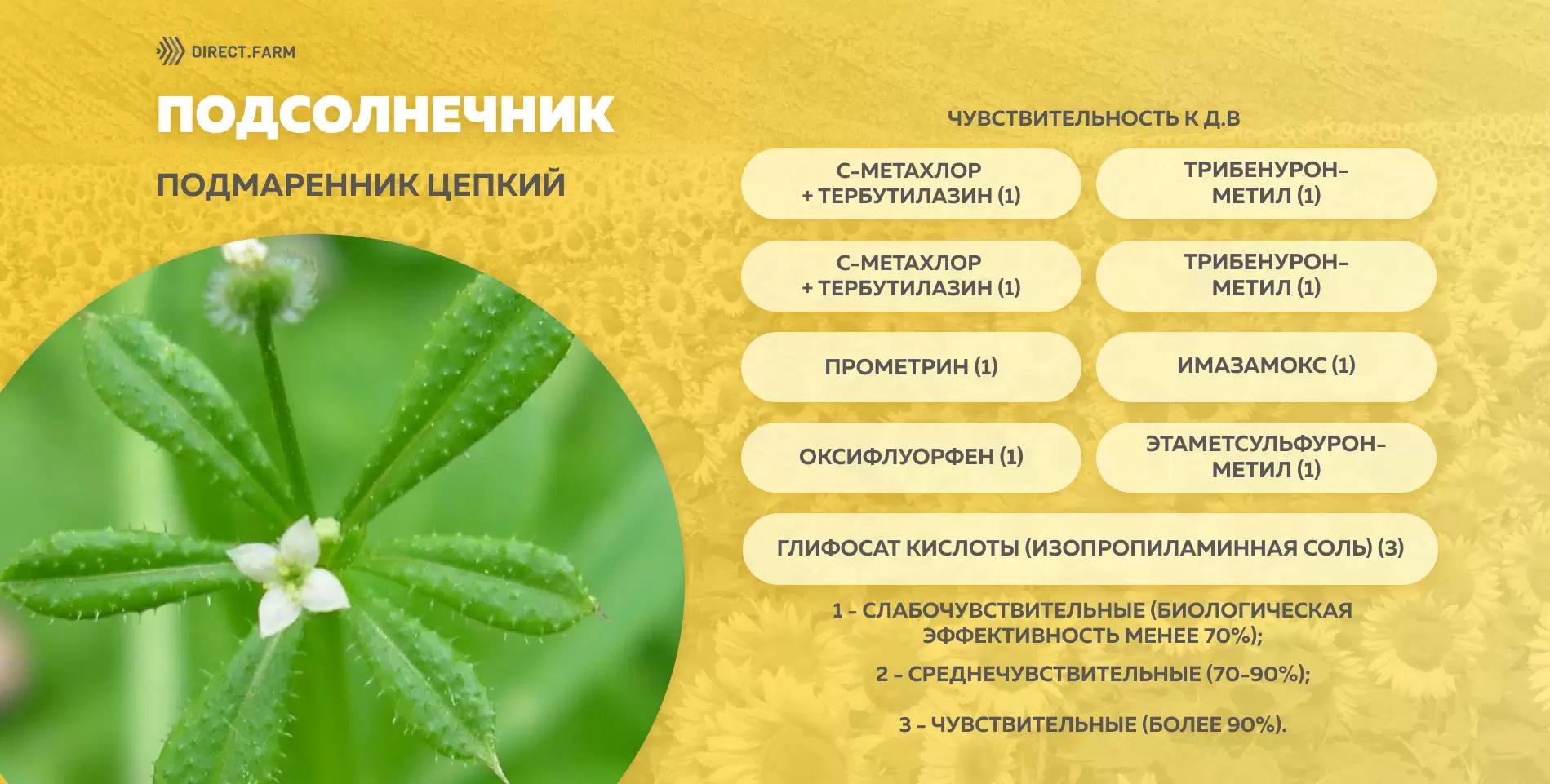 Шпаргалка чувствительности подмаренника цепкого к д.в. гербицидов