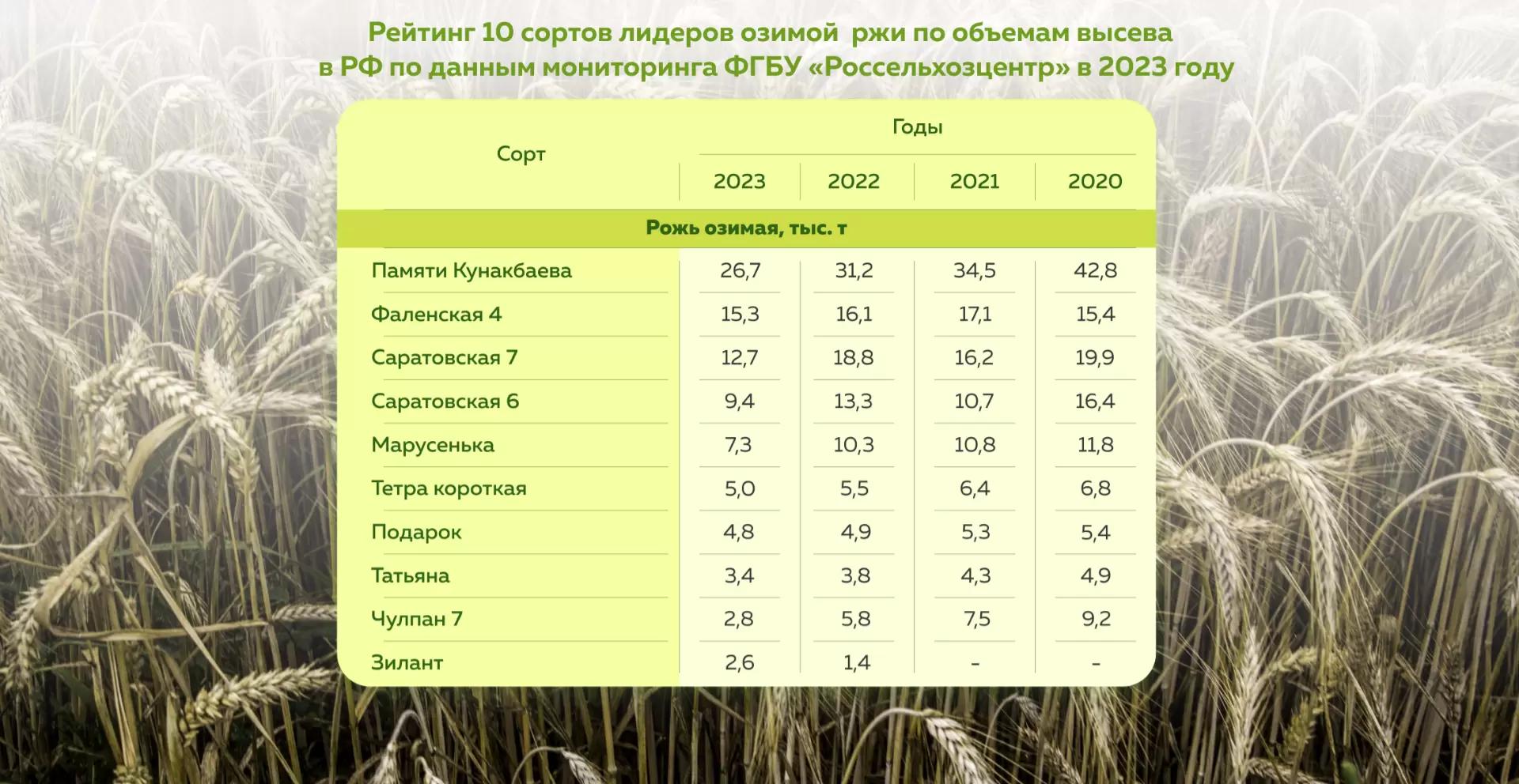 Топ сортов озимой ржи за 2023 год