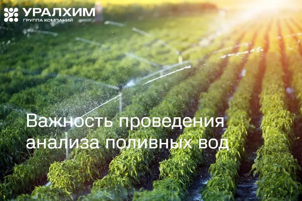 Важность проведения анализа поливных вод, вытяжек из матов и дренажа