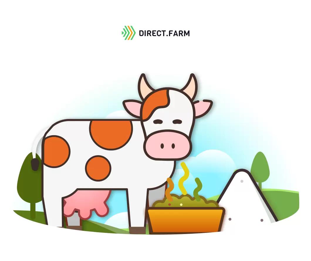 Использование сорбента микотоксинов в кормлении коров