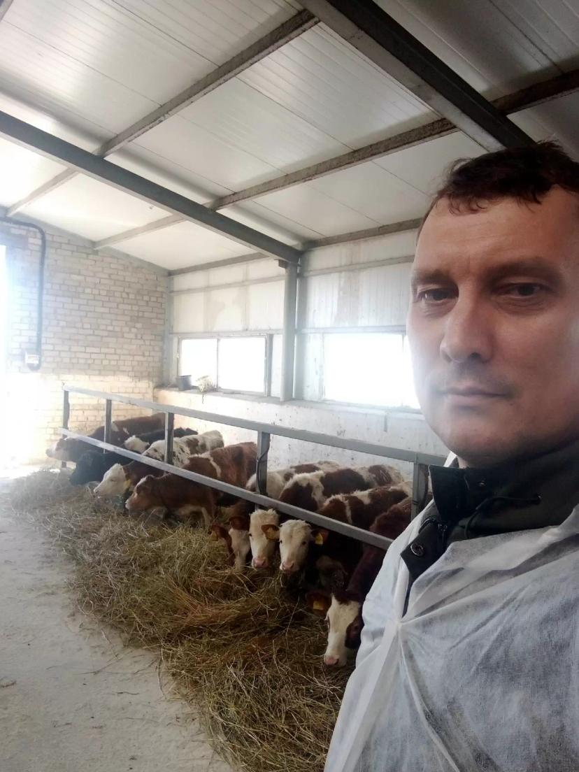 Работа в животноводческом хозяйстве Орловской области. Внедрение кормовых