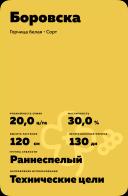 Боровска (BOROWSKA)