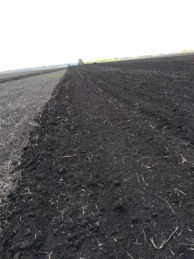 600 га озимых на пересев