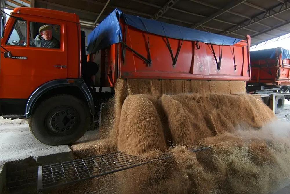 Лут: "Цены на зерно в РФ позволяют сельхозпроизводителям работать рентабельно"