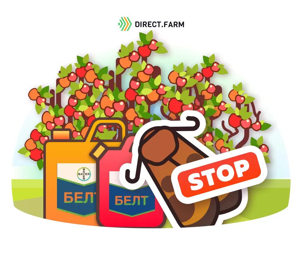 Борьба с яблонной плодожоркой – практические рекомендации