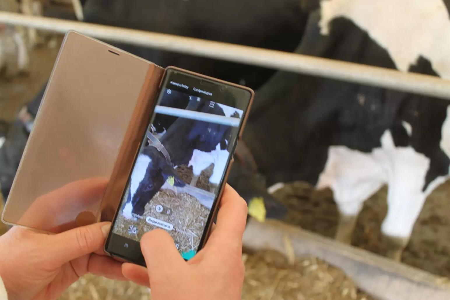 Антибиотики – фитотоксичность и действие на биоту почвы. Поглощение