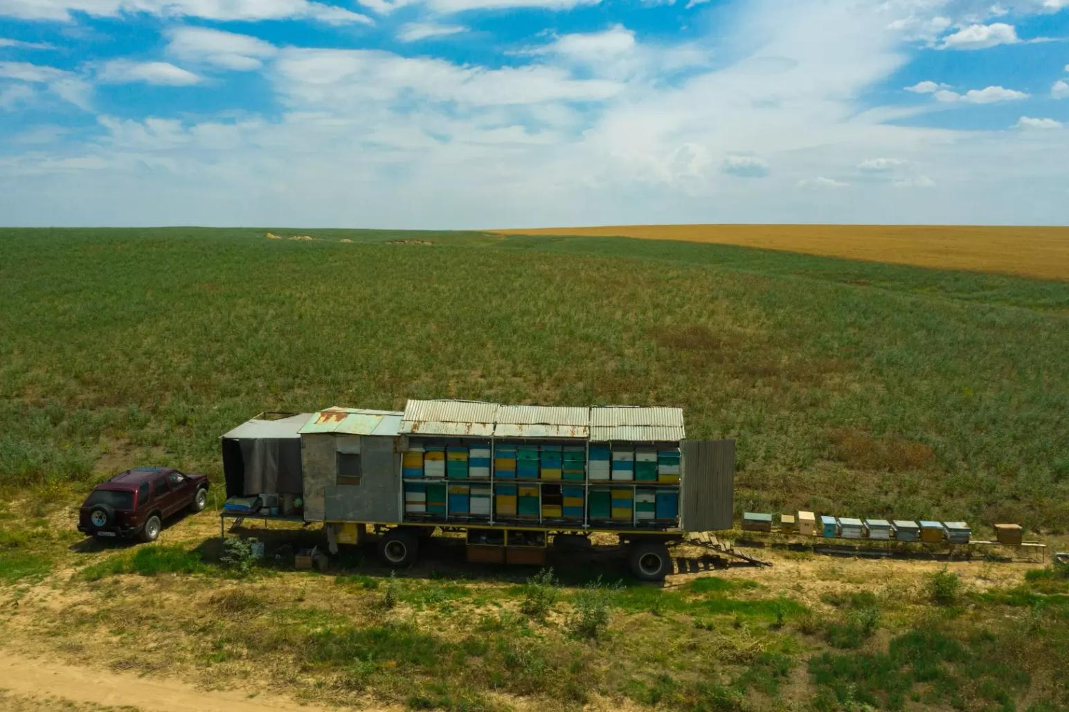 Штрафы за неправильное обращение с пестицидами могут вырасти в 25 раз