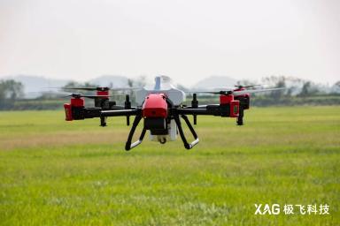 Обзор работы дронов XAG ХР2020 у "Обычного Фермера" 