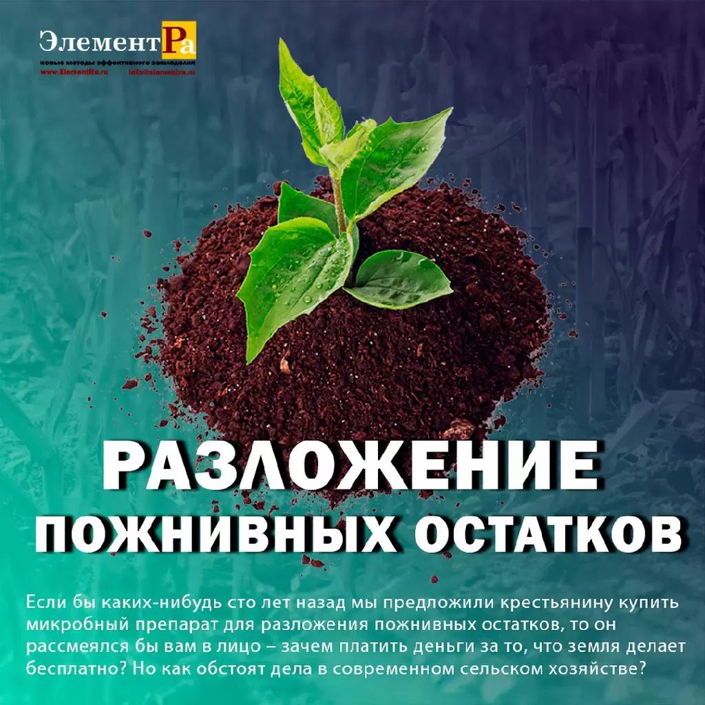 плодородие пути стабилизации процесса