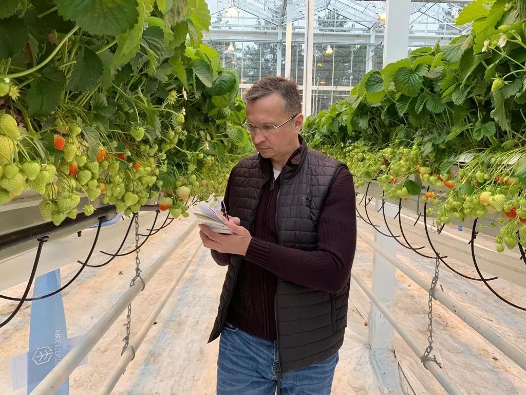 команда GreenConsult