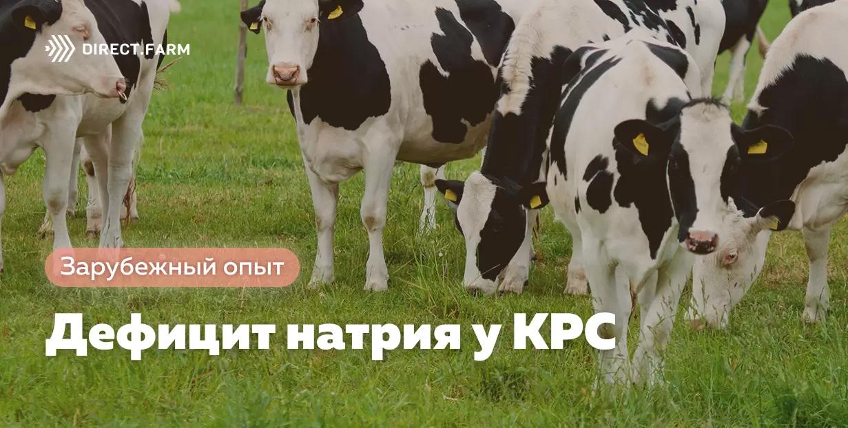 Дефицит натрия у КРС