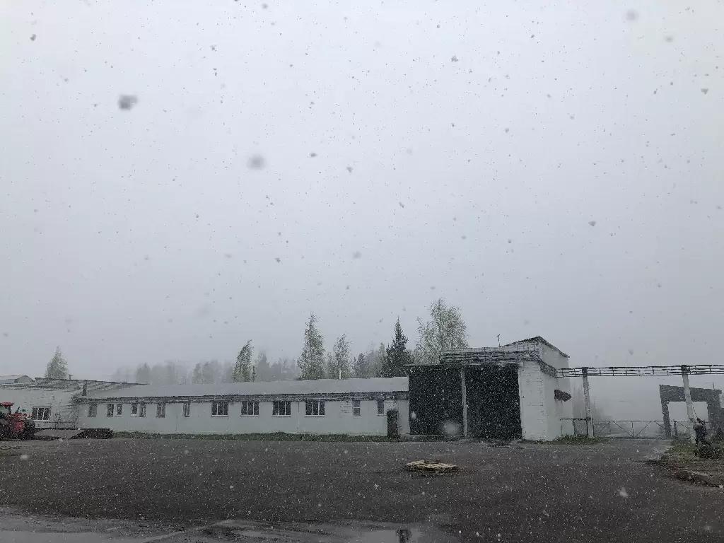 Погода умеет удивлять😉