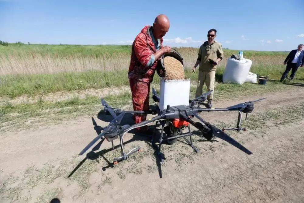 На Кубани начали сеять рис с помощью дронов