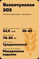 Безенчукская 205