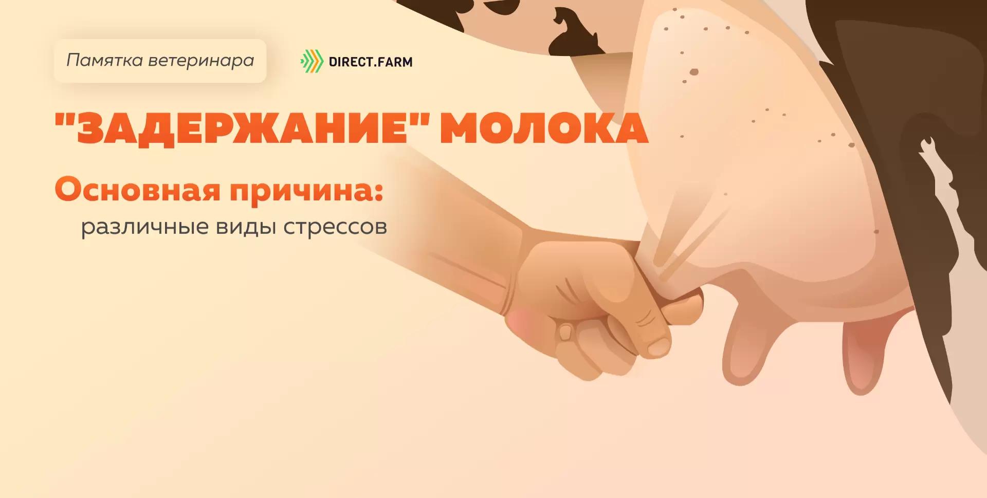 Памятка ветеринара: «задержание» молока у коровы