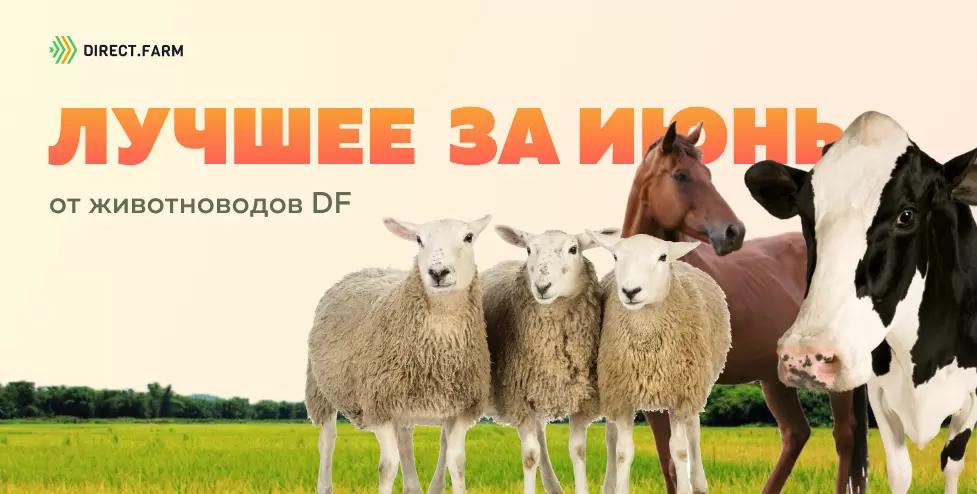 ТОП-10 статей от животноводов DF за июнь