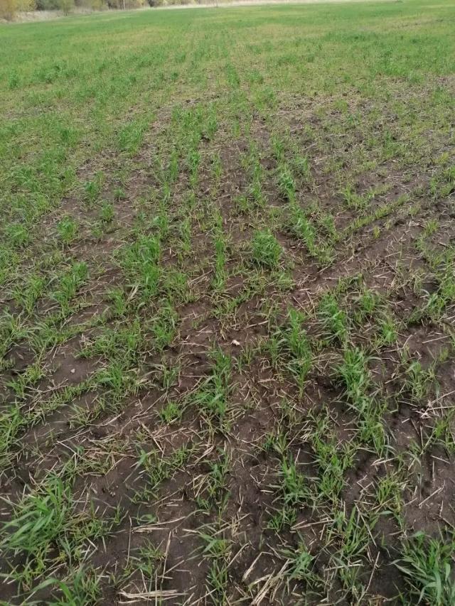 Агромониторинг