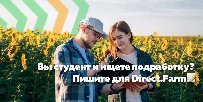 Контент от студента: собери портфолио и найди работу в Direct.Farm