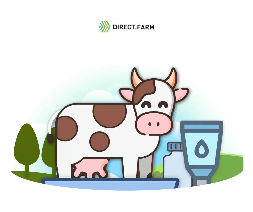 Средства для копытных ванн: методы снижения стоимости растворов