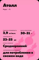 Атолл F1 (ATOLL)