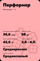 Перформер (PERFORMER) рапс яровой