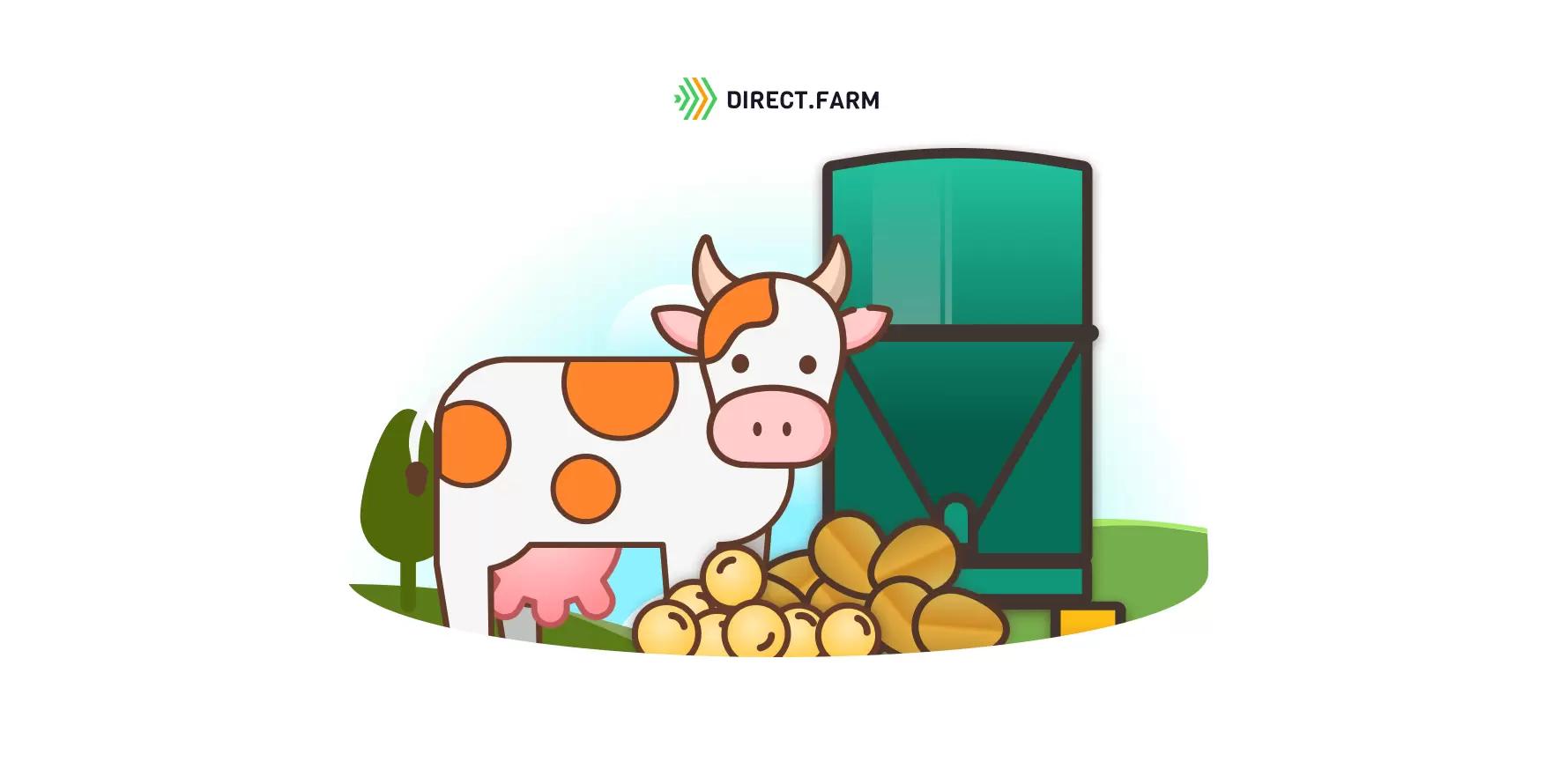 Влияние экструдирования на кормовую ценность зерна