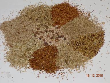 Семена кормовых и газонных травосмесей