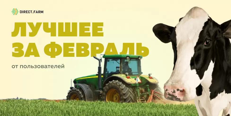 ТОП-постов от пользователей DF за февраль