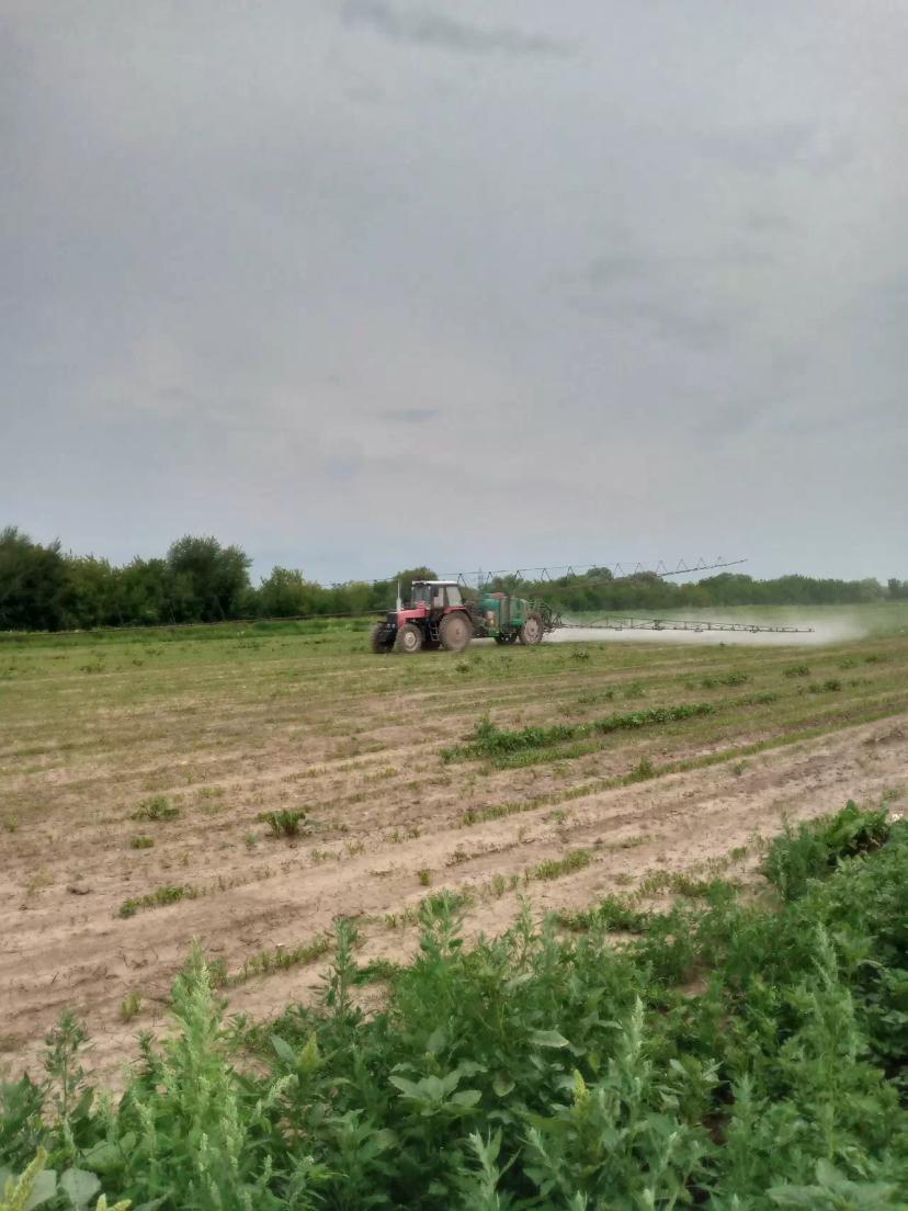 На полях нашей необъятной страны