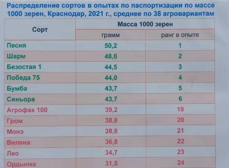 Масса 1000 семян и урожайность озимой пшеницы