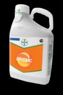 Лаудис, ВДГ