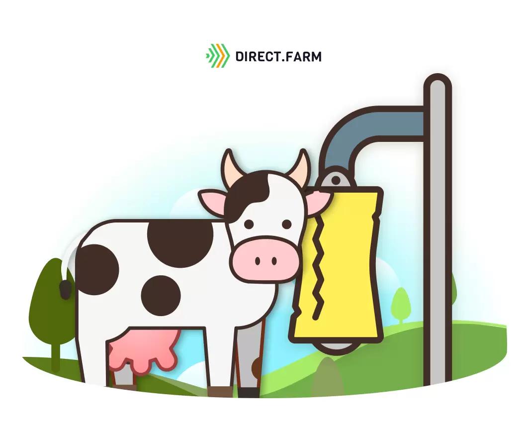 Необходимы ли щетки-чесалки для коров?