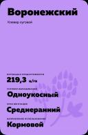 Воронежский