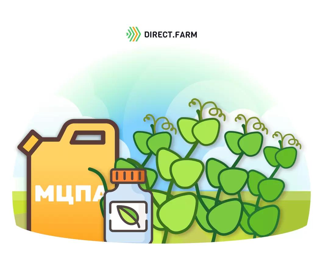 Можно ли применять МЦПА с гуматом?