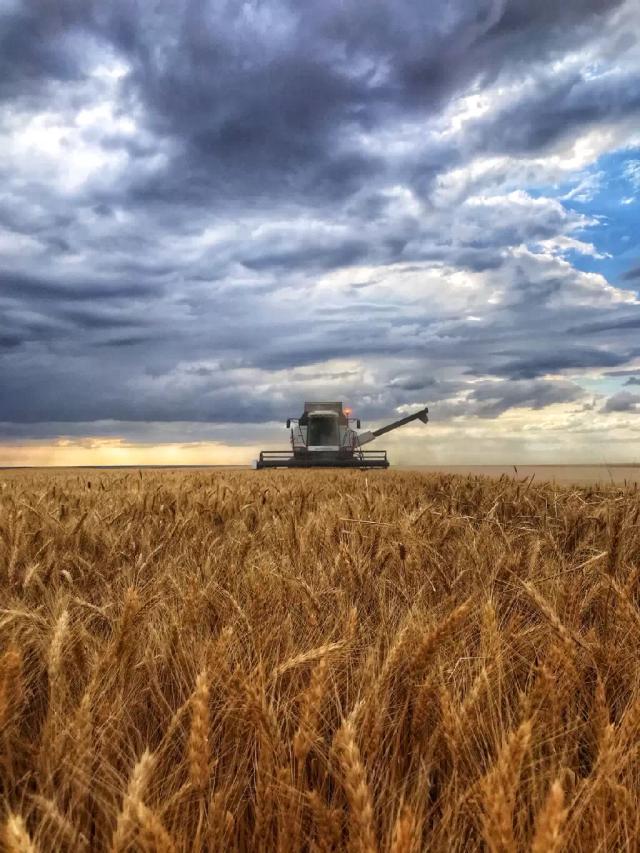 Предложения для директ фарм