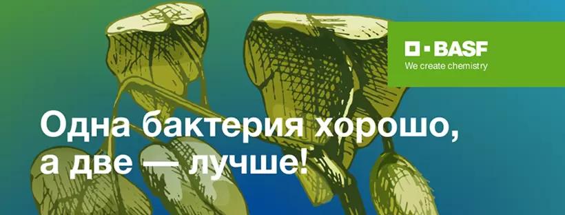 Одна бактерия хорошо, а две – лучше!