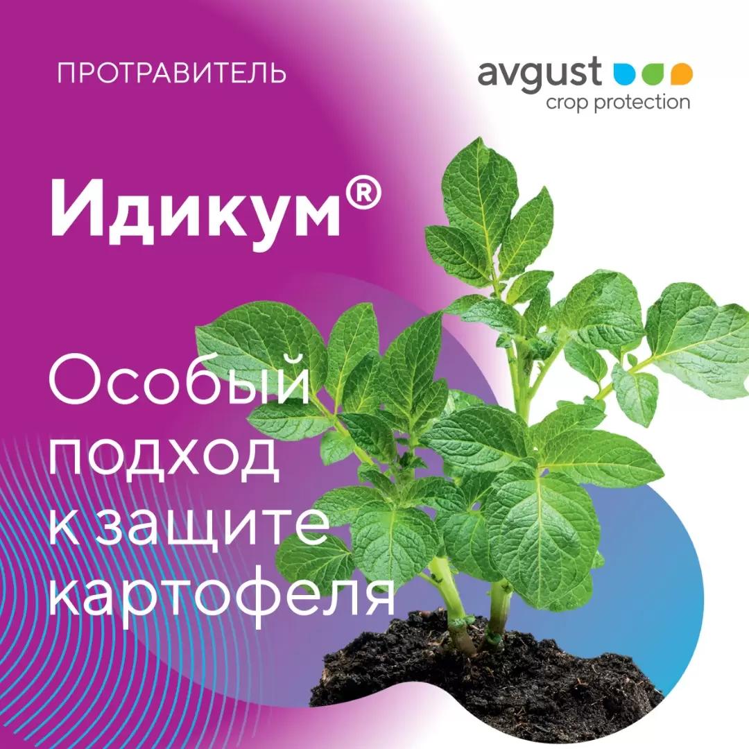 Инсектофунгицидный протравитель клубней картофеля.