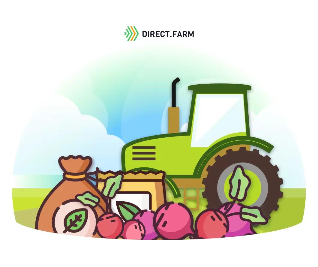 Какие удобрения лучше всего вносить под сахарную свеклу?