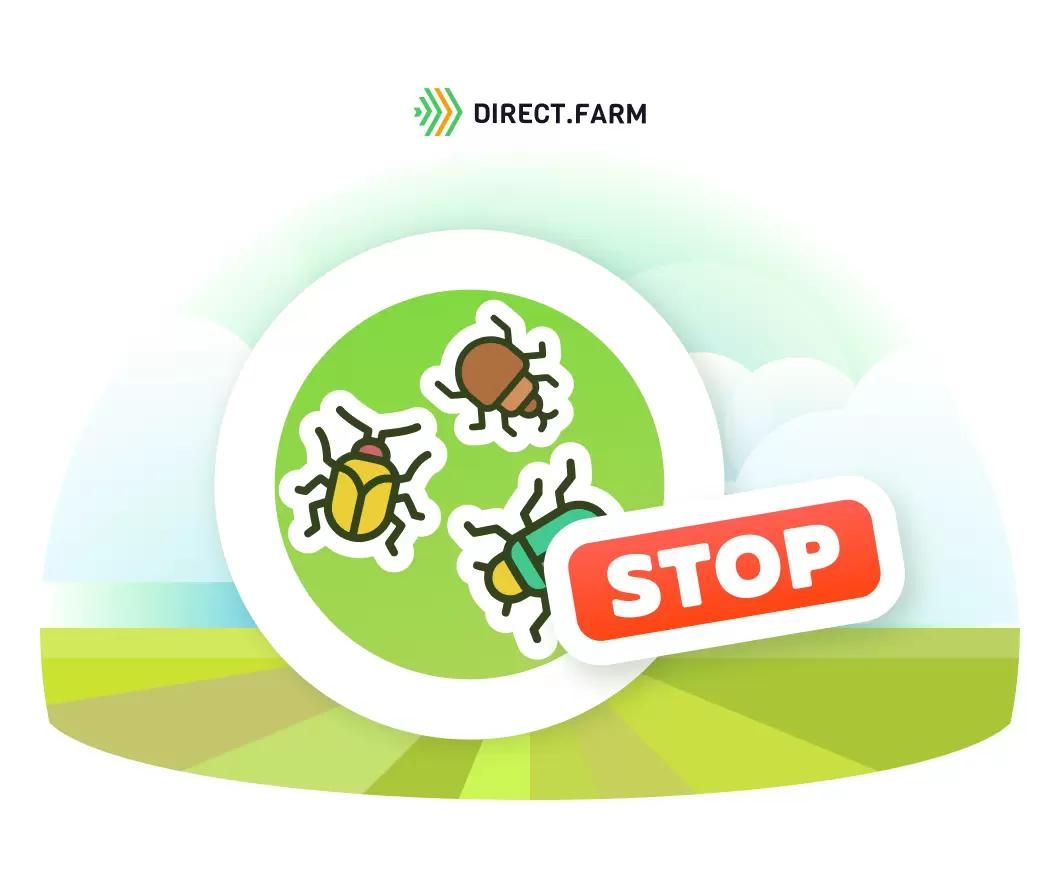 Краевые обработки инсектицидами