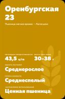 Оренбургская 23