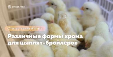Влияние различных форм хрома на прирост живой массы цыплят-бройлеров