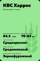 КВС Харрис (KWS HARRIS) сорт ярового ячменя