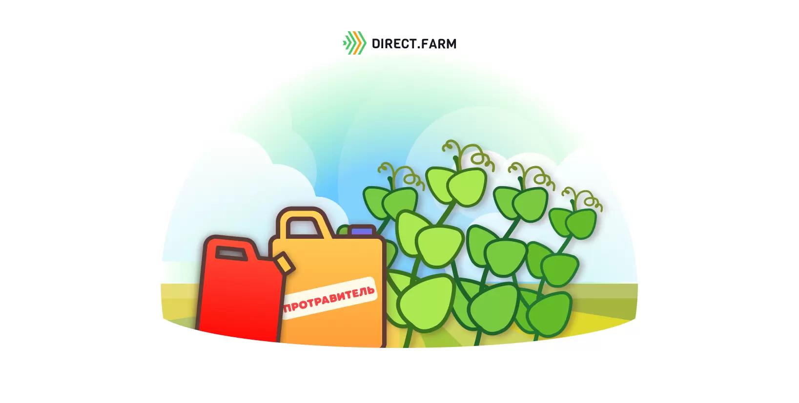 Как подобрать протравитель семян для гороха?