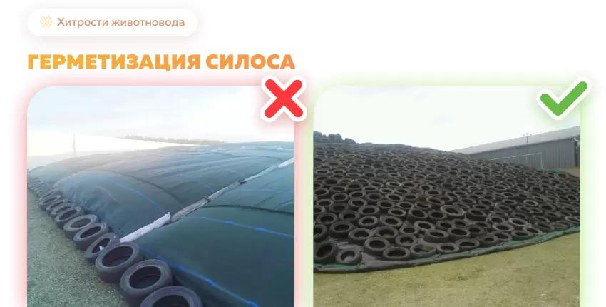 Качественная герметизация силосной траншеи