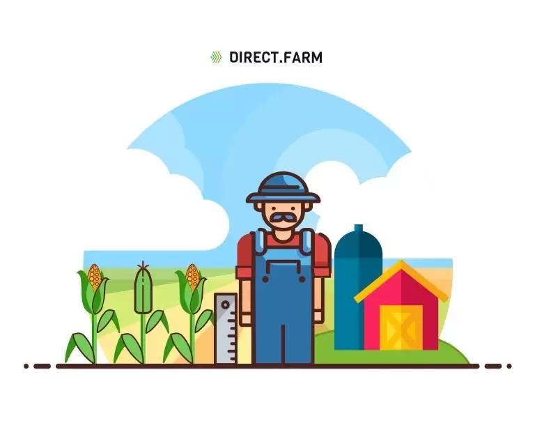 Оптимальная длина резки кукурузы на силос