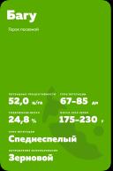 Багу (BAGOO) сорт гороха посевного