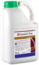 Селест Топ, КС