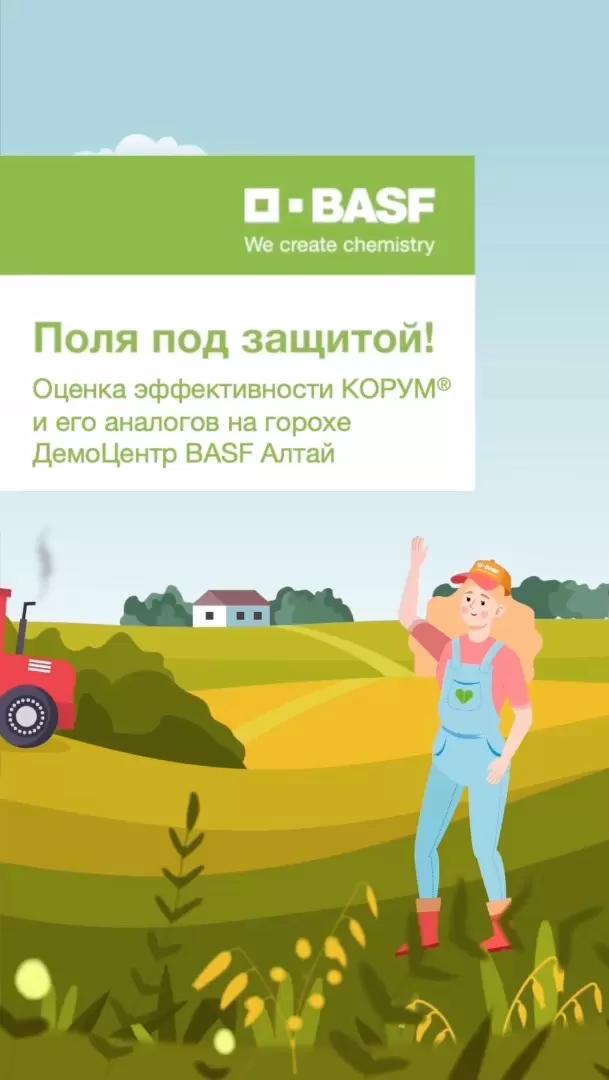 🌱 Оригинал vs дженерики: сравниваем эффективность на горохе